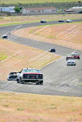 media/May-05-2024-Lucky Dog Racing (Sun) [[8a365fce5b]]/10am-Turn 6/
